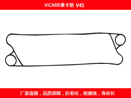 V45 国产板式草莓视频下载安装密封垫片